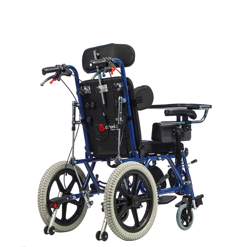 Olvia 300